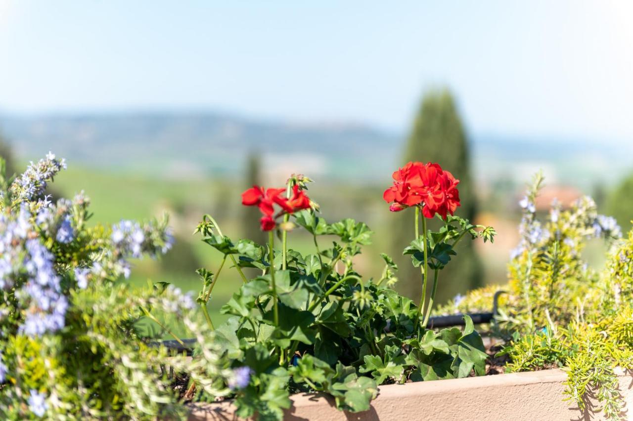 Hotel Palazzuolo San Quirico d'Orcia Bagian luar foto